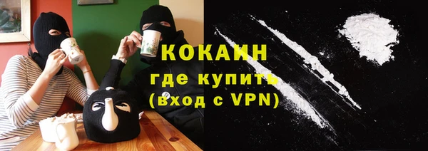 СК Бородино