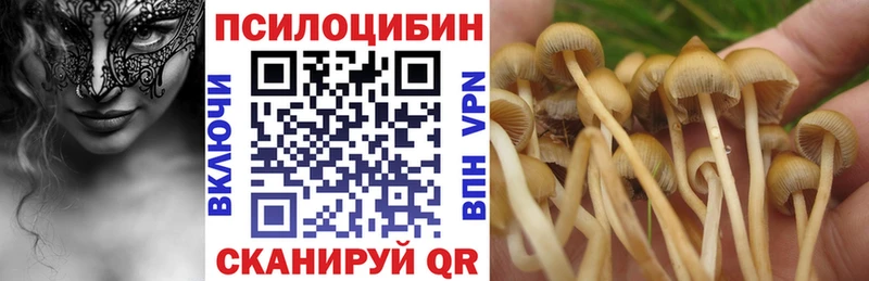 Галлюциногенные грибы ЛСД  Кузнецк 